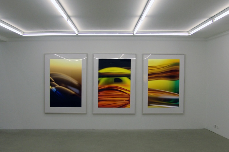 transmutation + macro landscape, laserchrome grossfoto auf aluminium-dibond gerahmt, galerie bernd lausberg, düsseldorf, 2006 2d529e166c696fd074a4b493bb89.jpg
